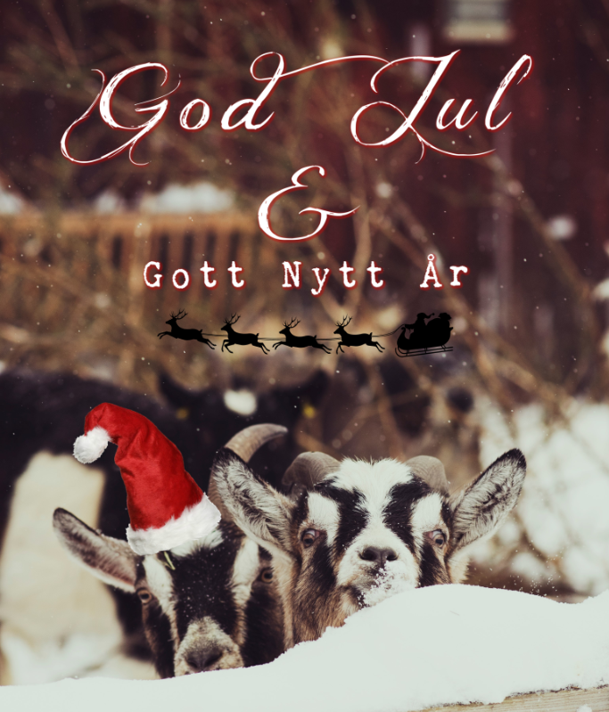 God Jul och Gott nytt år!